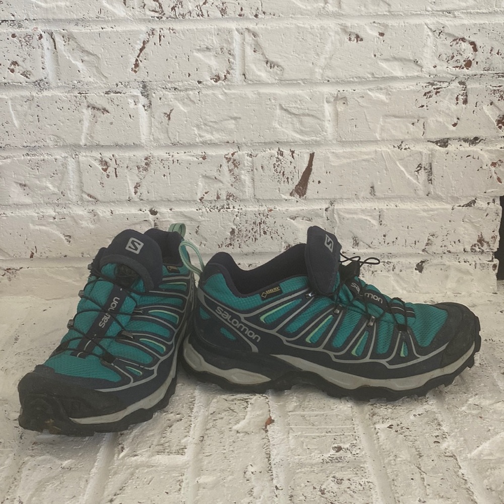 Salomon hiking shoes